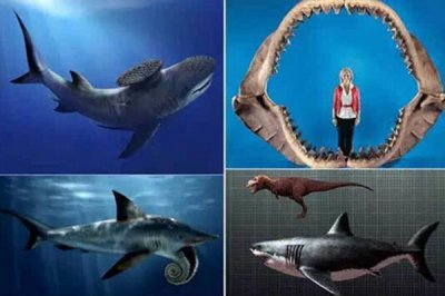 ​巨齿鲨的天敌是谁 它曾是表里如一的海洋领主