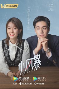 电视剧小风暴解析（小风暴电视剧大结局是什么）