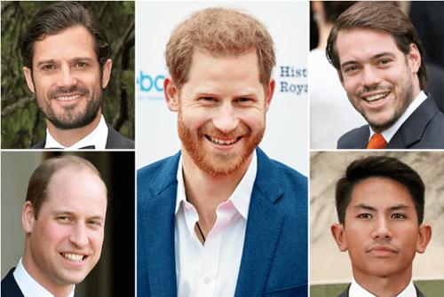 欧洲王室最帅王子(文莱马丁王子30岁)(2)