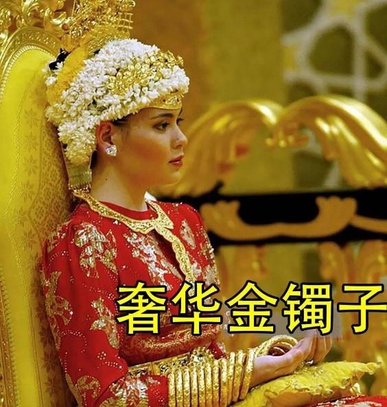 欧洲王室最帅王子(文莱马丁王子30岁)(21)