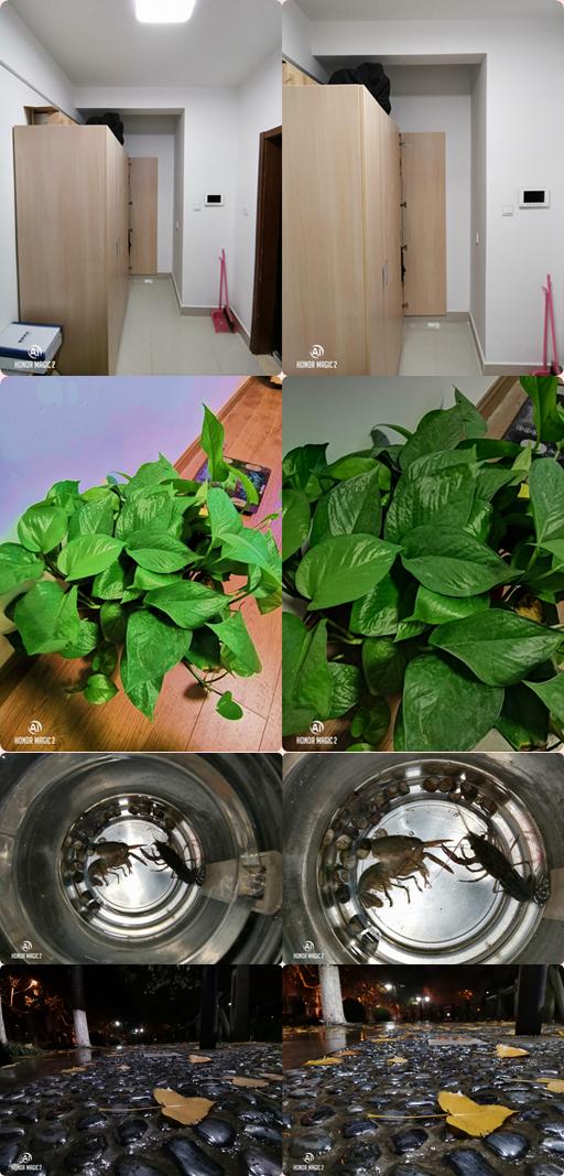 荣耀magic2优点和缺点(一部实用的未来手机)(14)