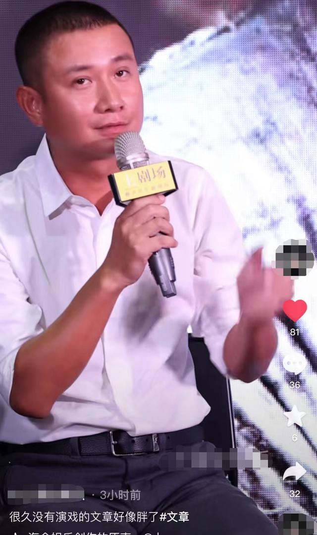 演员文章最近怎么样了(与谢娜搭档演话剧)(1)