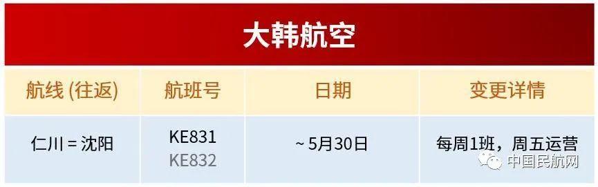 各大航司5月国际航班名单（5月国内外航司国际航班计划公布）(5)
