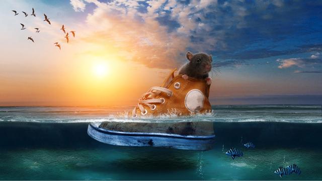 开源web浏览器(10个适用于Linux)(1)