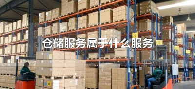 ​仓储服务属于什么服务（仓储保管服务属于什么服务）