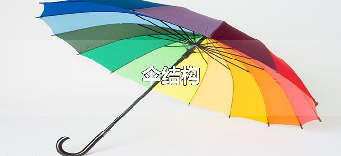 伞结构 伞结构