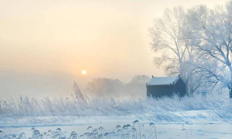 冬至吃饺子的寓意是啥