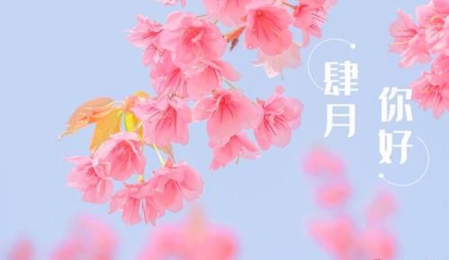 四月你好唯美句子简短发微信图片