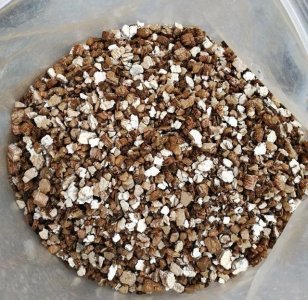 ​怎样孵化乌龟蛋教程（极简龟蛋孵化教程）