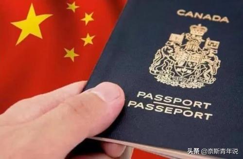 华侨华裔华人之间的区别（华人华侨华裔）(2)