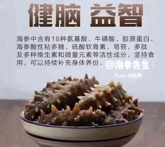 海参几年的营养价值高(大家一起来了解下吧)