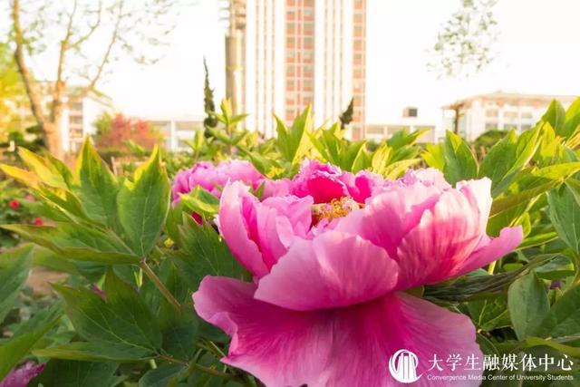 你有新的消息,请注意查收(你有一条特别关心消息待查收)(24)