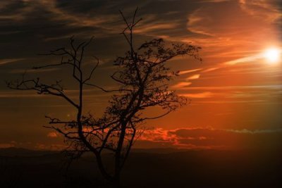 ​一什么夕阳？一什么什么夕