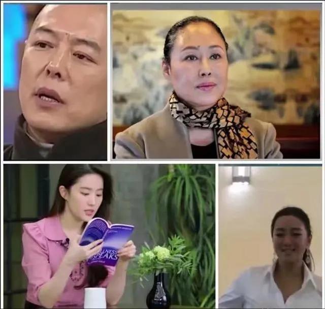 移民外面的明星不认双重国籍（我国不承认的双国籍之娱乐圈）(3)