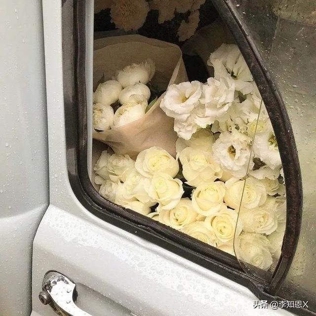 微信头像简约干净阳光（微信头像背景图）(11)