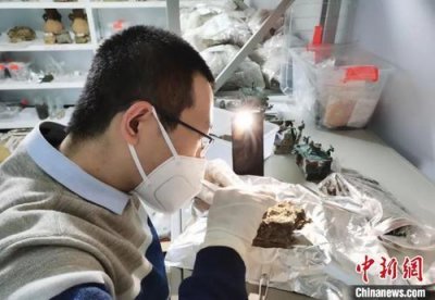 ​考古学博士有什么用（考古学博士学位的基本要求）