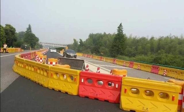 水马是啥东西,四足水中生物,象蚊虫,在水面上跑,是啥?图2