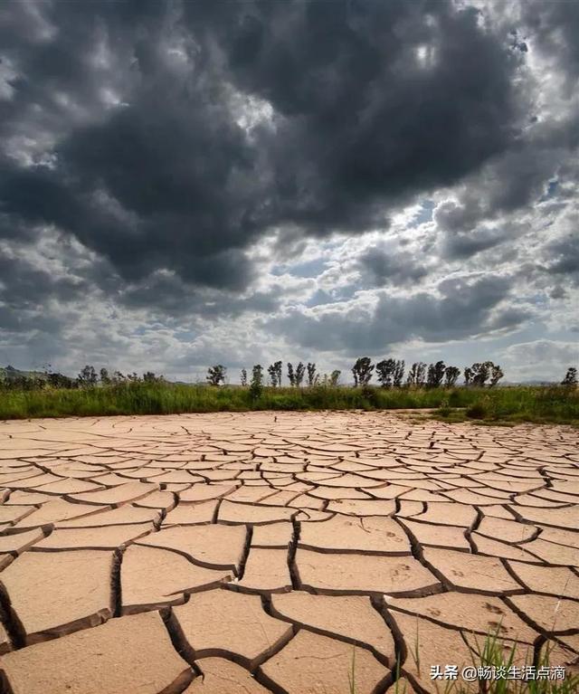 九九重阳节下雨有什么说法(这天下雨好不好)(2)