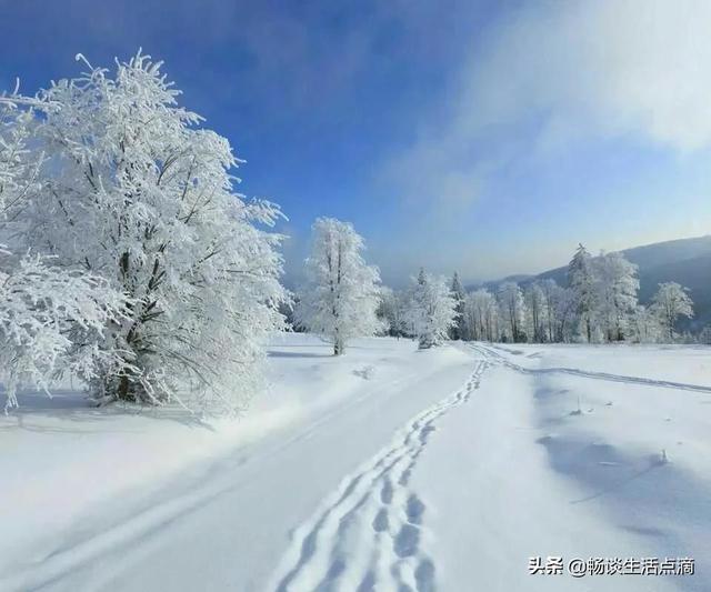 九九重阳节下雨有什么说法(这天下雨好不好)(3)