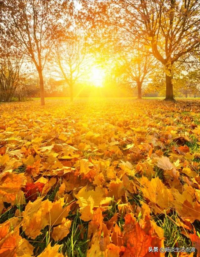 九九重阳节下雨有什么说法(这天下雨好不好)(4)