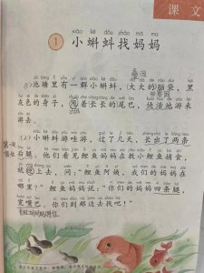 ​小蝌蚪找妈妈课文（小学课文小蝌蚪找妈妈课文原文）