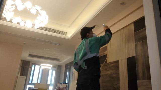 正确的家庭去除甲醛的办法有哪些（教你5种方法快速去除醛）(8)