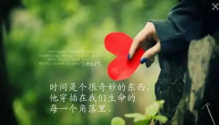 开心的句子心情