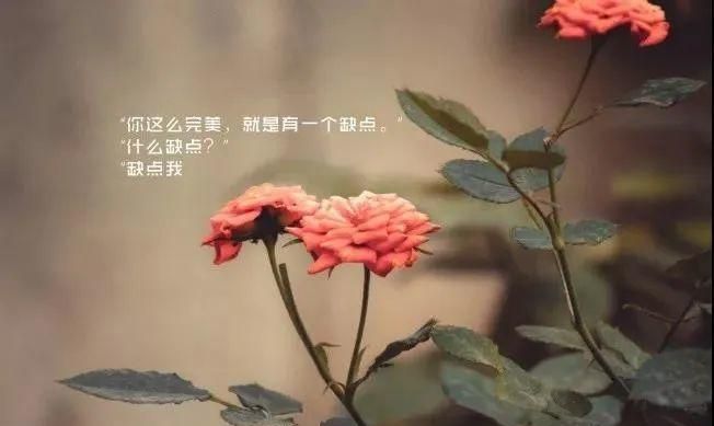表达开心的句子心情