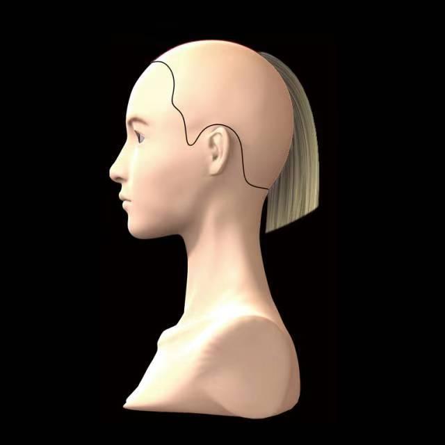 美发零基础学习步骤（青千万:学美发必学的6个美发培训剪发技巧）(2)