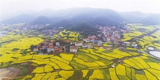 黄冈市是哪个省，黄冈市是哪个省？图12