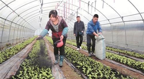 耕地长牙齿是什么意思，菜地有蜗牛是什么原因？用什么药可以去掉？图2