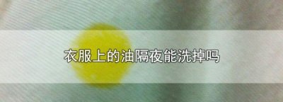 ​衣服油隔天洗能洗掉,衣服上的油隔夜能洗掉吗