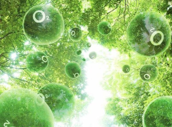 炖燕窝用冷水还是热水,炖燕窝用冷水还是热水,哪个好?图4