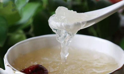 炖燕窝热水下锅还是冷水下锅