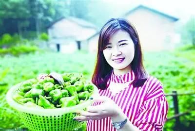 青椒保鲜储存方法半年，青的朝天椒怎么储存？图2