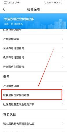 医保怎么交费和网上缴费
