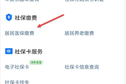 医保怎么交费,手机交医保怎么交费图4