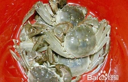 螃蟹可以放水里养着吗