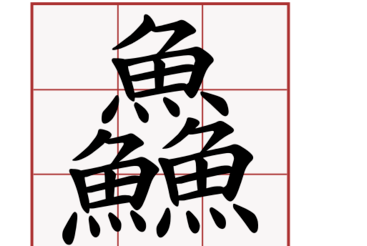三个鱼字念什么,三个鱼读什么图2