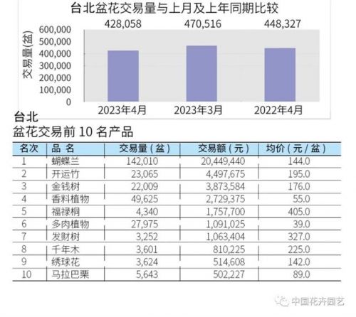 河南康乃馨多少钱一朵，康乃馨多少钱一朵朵-第1张图片-
