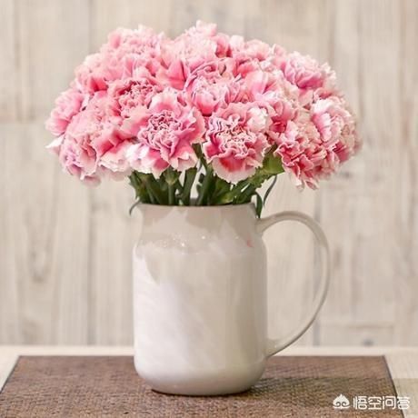 父亲节送爸爸什么花?(父亲节送爸爸什么花好)-第1张图片-