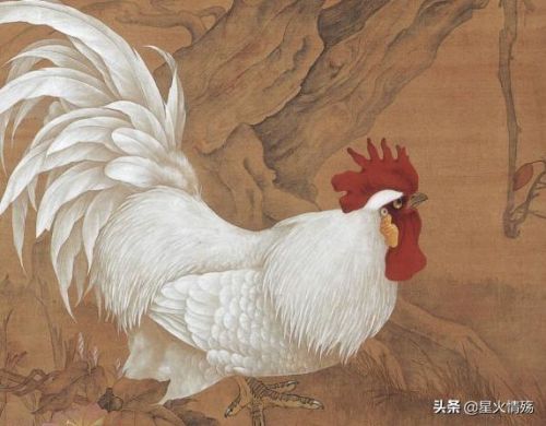 心如刀割是什么生肖打一肖(心如刀割是什么生肖及数字)-第2张图片-