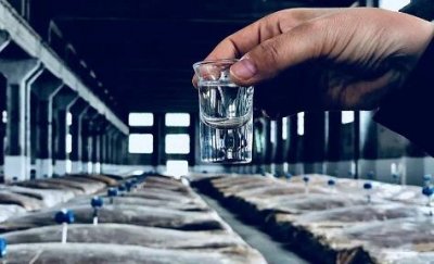 ​尧王老窖42度多少钱(尧王窖藏52度)