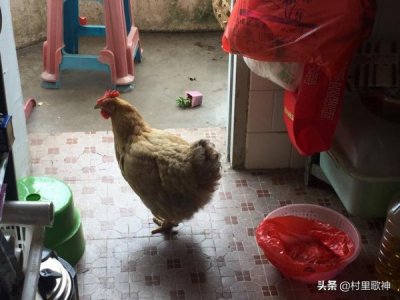 ​白酒行业经营特征(白酒行业的特征)