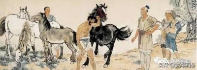 ​五粮液锦上添花金鸿典(五粮液锦上添花52度浓香型白酒价格)