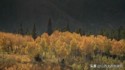 ​集体土地租赁协议书(新)  集体土地租赁协议书