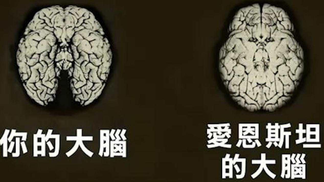 爱因斯坦是正常人吗(爱因斯坦厉害到什么程度)
