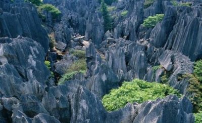 ​中国四大天然壮瞅 吉林雾凇/云南石林/长江三峡/桂林山水