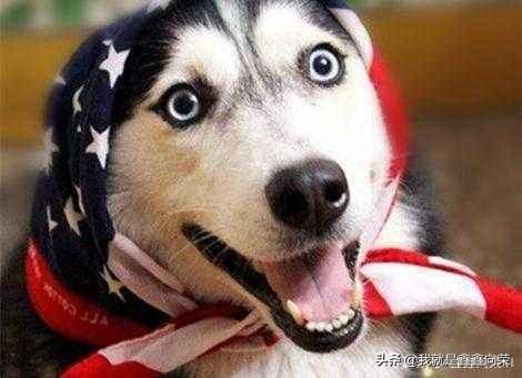 天秤座男生有什么特点(天秤座男的10个特点)