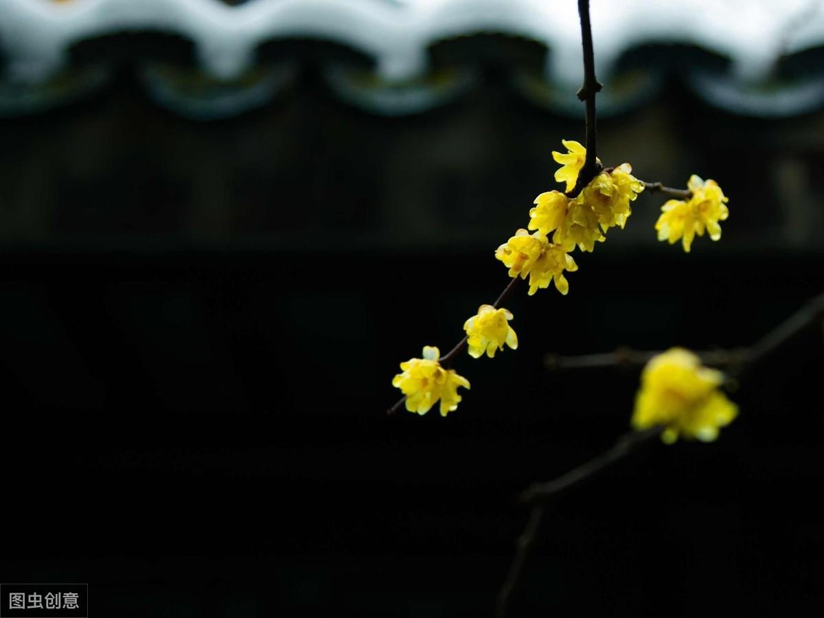 六尘六根六识指什么(佛家讲的六根六尘是什么)